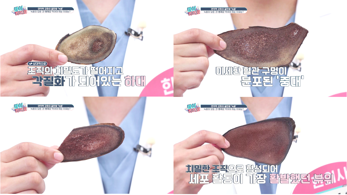 %25EB%25B0%25A9%25EB%25AF%25BC%25EC%259A%25B0%2B%25EC%259B%2590%25EC%259E%25A5%2B%25EB%258B%25A4%25EC%259D%25B4%25ED%258A%25B8%25ED%2595%259C%25EC%259D%2598%25EC%259B%25907.png 20210521055149%25EB%25B0%25A9%25EB%25AF%25BC%25EC%259A%25B0%2B%25EC%259B%2590%25EC%259E%25A5%2B%25EB%258B%25A4%25EC%259D%25B4%25ED%258A%25B8%25ED%2595%259C%25EC%259D%2598%25EC%259B%25907.png