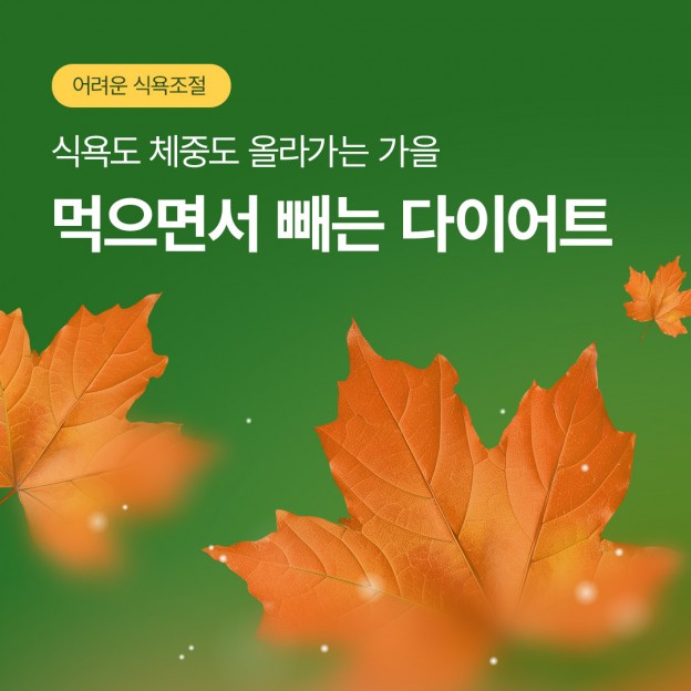 먹으면서 빼는 다이어트