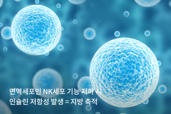 호르몬 케어 다이어트